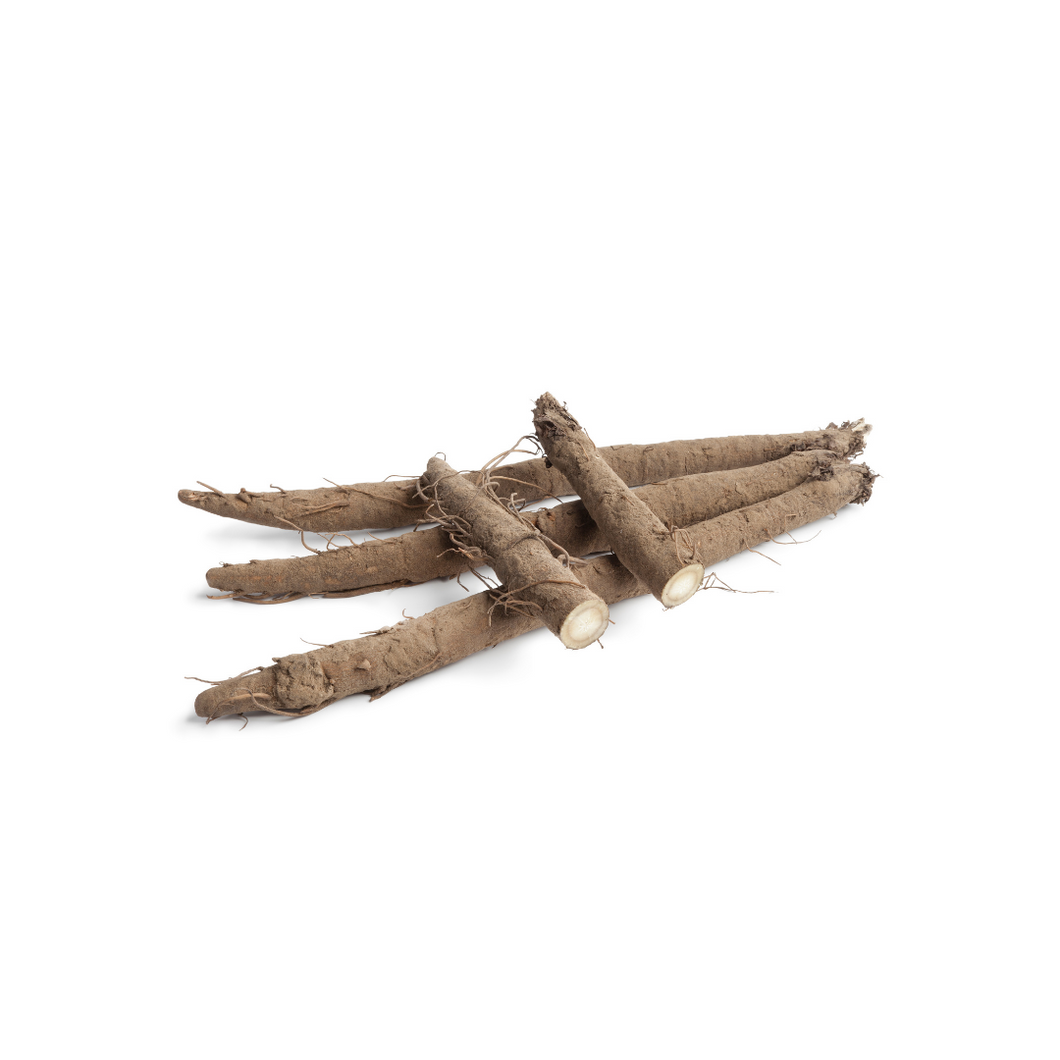 Burdock Root