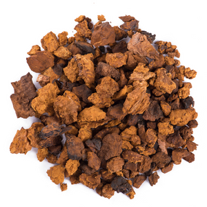 Chaga Mushroom