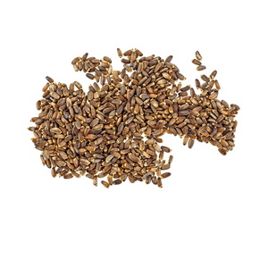 Milk Thistle Seed